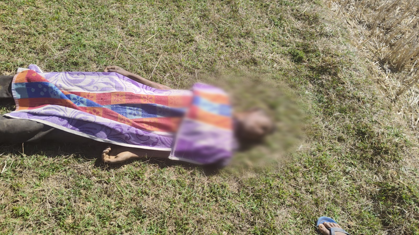 रातू में जंगली हाथी का हमला, युवक की कुचलकर मौत