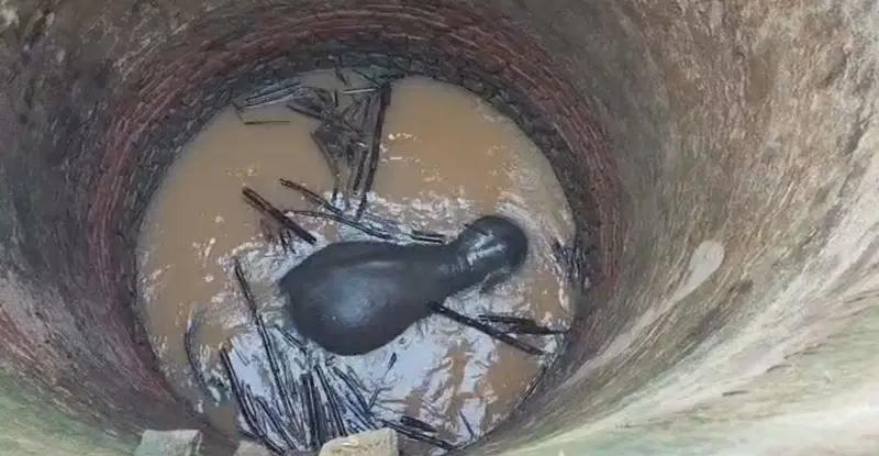 सोनाहातु में कुएं में गिरा हाथी, मुआवजे के बाद सुरक्षित रेस्क्यू