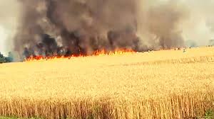 बुंडू के मांझीटोली में खलिहान में लगी आग