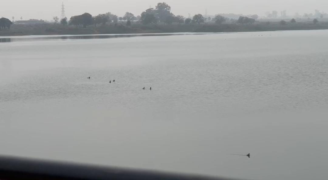 Hazaribagh: छड़वा डैम का घटता जलस्तर बढ़ा रहा चिंता, गर्मी से पहले ही हजारीबाग पर जल संकट का खतरा